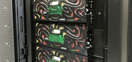 Shirokane8 ホームディスク DDN Lustre